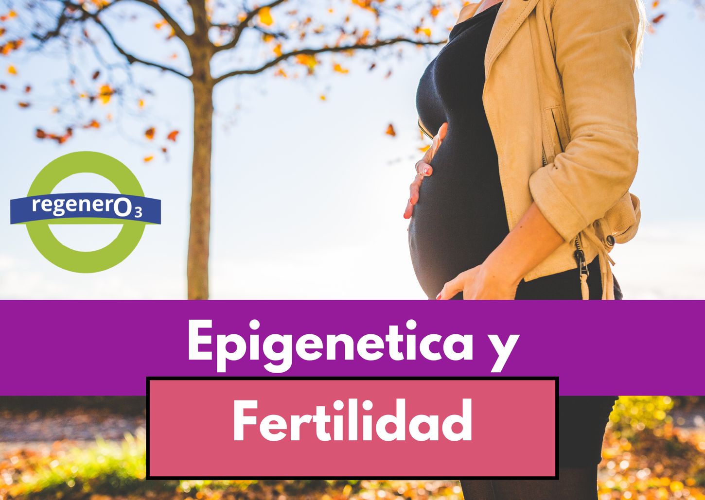 Preparar el cuerpo para el embarazo: epigenética, metales pesados y medicina funcional en la fertilidad femenina