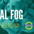 Las 4 mejores vitaminas y suplementos para combatir el Mental FOG