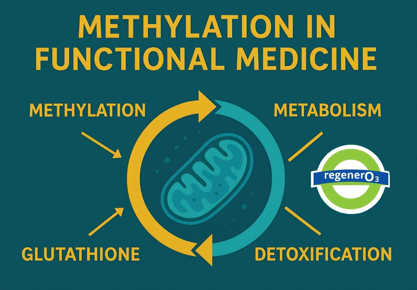 La metilación: el engranaje oculto que define tu energía, tu detoxificación y tu longevidad