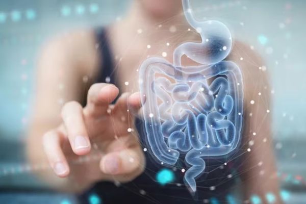 Qué es el SIBO, como diagnosticarlo y medidas para aliviarlo